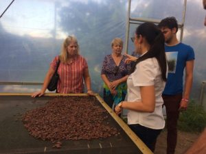 Chocolate Factory Costa Rica